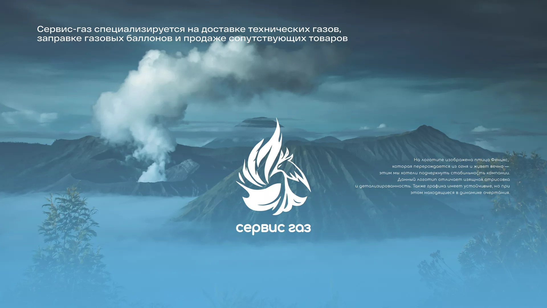 Создание сайта компании «Сервис газ» в Кронштадте
