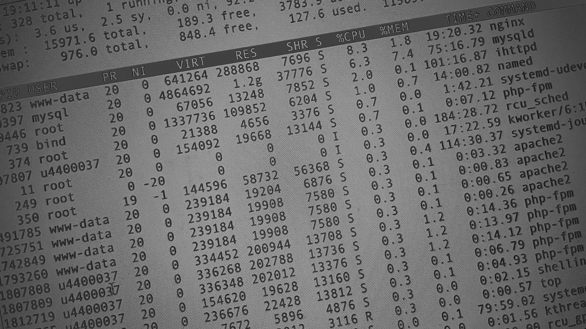 Настройка сервера в Кронштадте Настройка сервера в Кронштадте