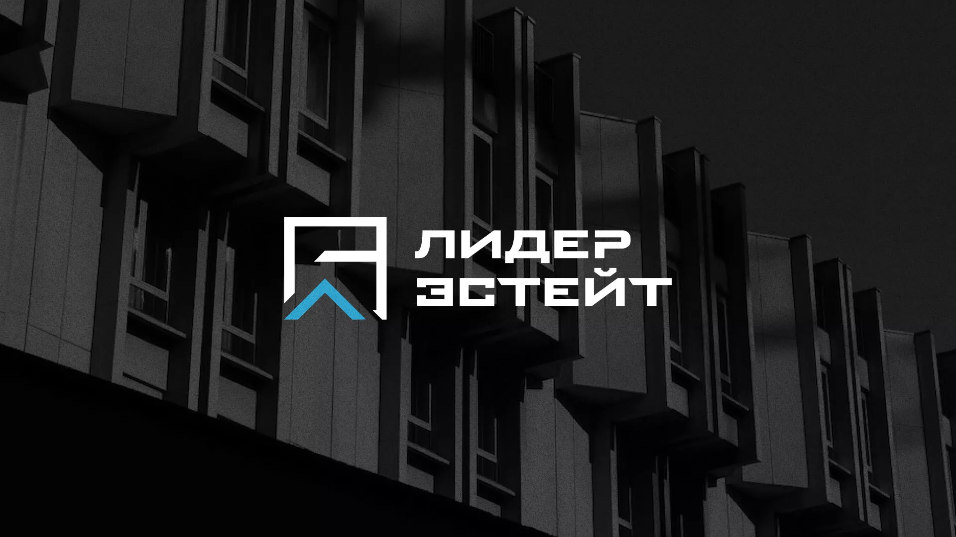 Разработка логотипа агентства недвижимости «Лидер Эстейт» в Кронштадте